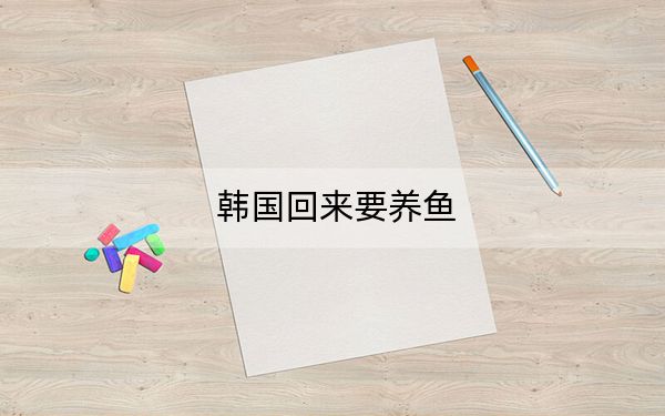 韩国回来要养鱼