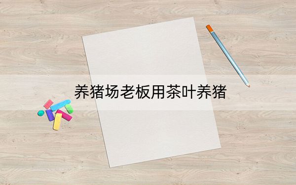 养猪场老板用茶叶养猪