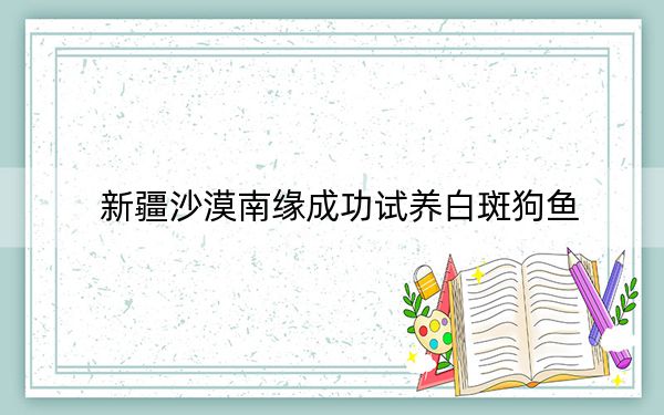 新疆沙漠南缘成功试养白斑狗鱼