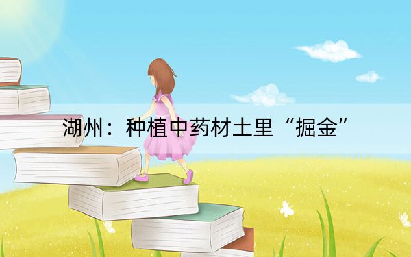 湖州：种植中药材土里“掘金”