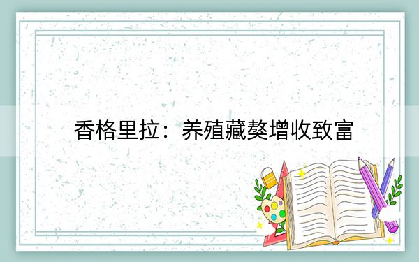 香格里拉:养殖藏獒增收致富