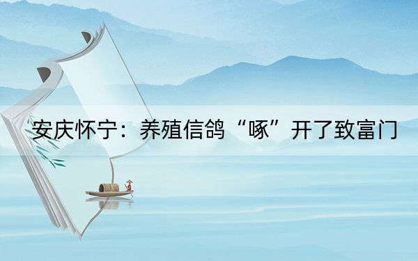 安庆怀宁：养殖信鸽“啄”开了致富门