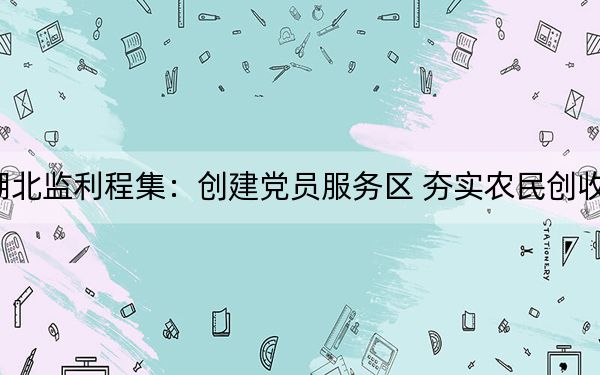 湖北监利程集：创建党员服务区 夯实农民创收点