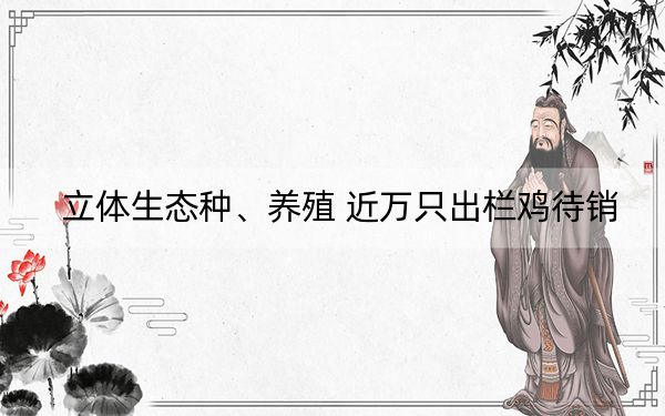 立体生态种、养殖 近万只出栏鸡待销
