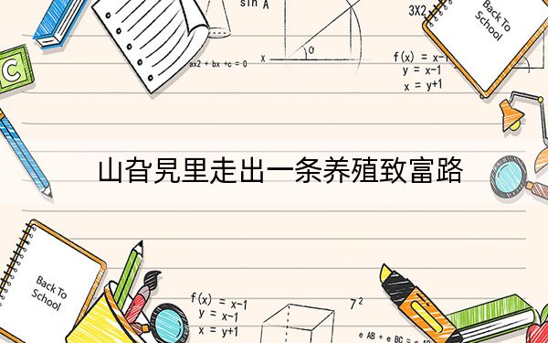 山旮旯里走出一条养殖致富路