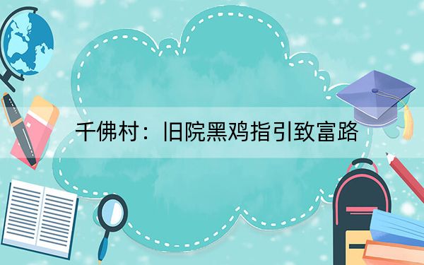 千佛村：旧院黑鸡指引致富路