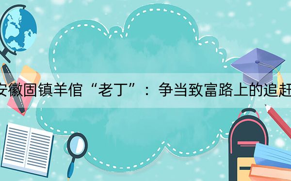 安徽固镇羊倌“老丁”：争当致富路上的追赶者