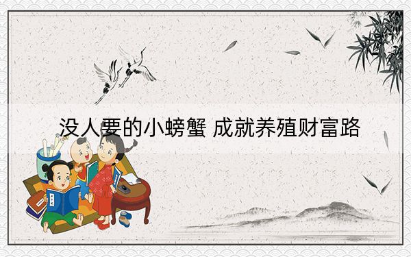 没人要的小螃蟹 成就养殖财富路