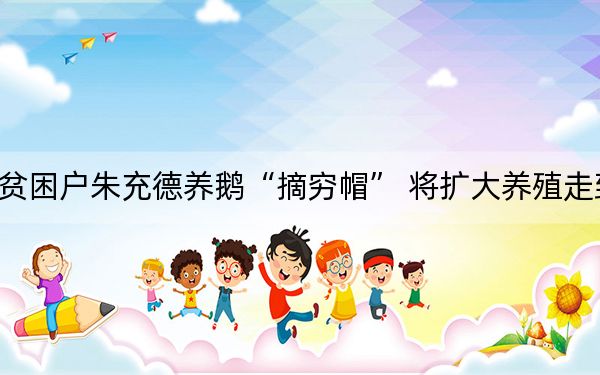 万宁贫困户朱充德养鹅“摘穷帽” 将扩大养殖走致富路