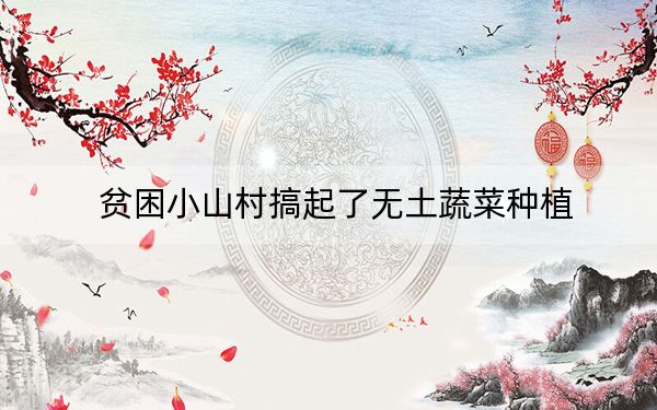 贫困小山村搞起了无土蔬菜种植