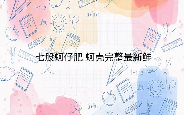 七股蚵仔肥 蚵壳完整最新鲜