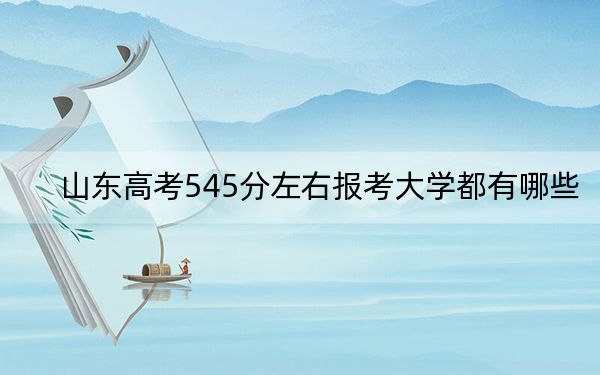 山东高考545分左右报考大学都有哪些？ 2025年高考可以填报9所大学