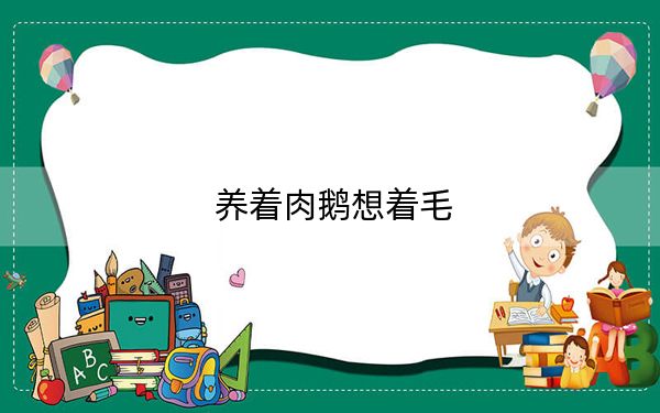养着肉鹅想着毛
