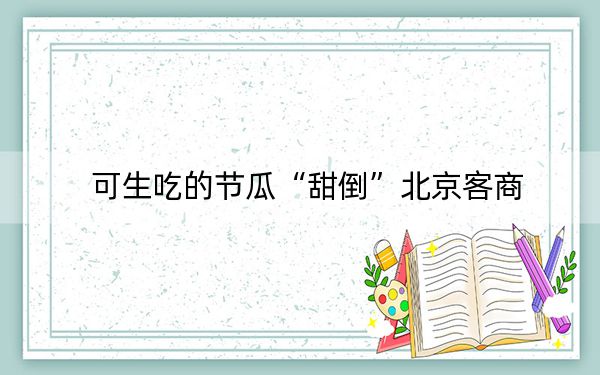 可生吃的节瓜“甜倒”北京客商