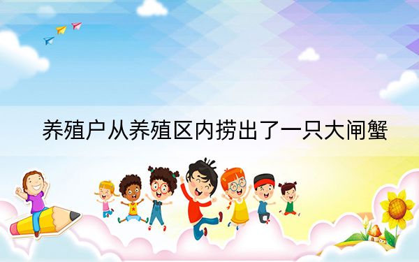 养殖户从养殖区内捞出了一只大闸蟹