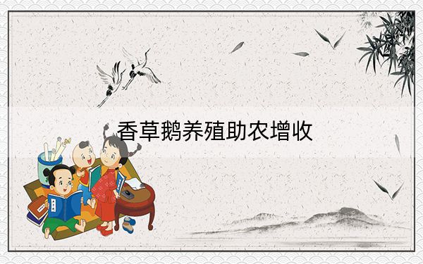 香草鹅养殖助农增收