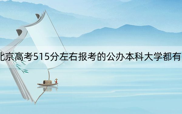 北京高考515分左右报考的公办本科大学都有哪些?(附带2022-2024年515左右大学名单)