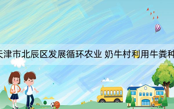天津市北辰区发展循环农业 奶牛村利用牛粪种蘑
