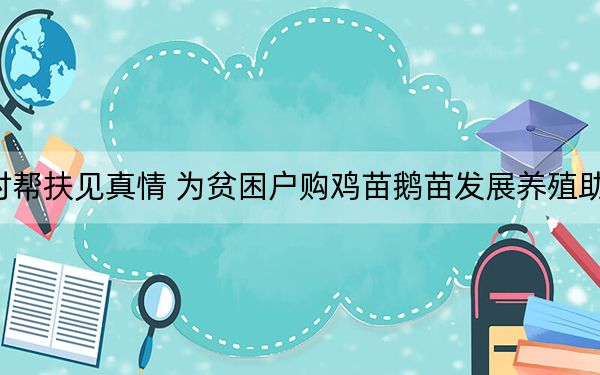 结对帮扶见真情 为贫困户购鸡苗鹅苗发展养殖助脱贫