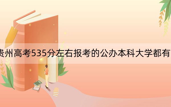 贵州高考535分左右报考的公办本科大学都有哪些？（附带2022-2024年535左右大学名单）