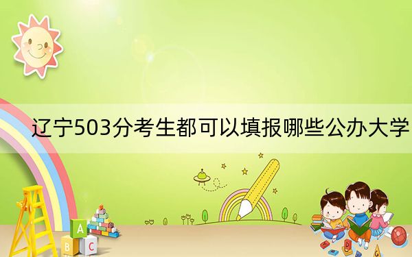 辽宁503分考生都可以填报哪些公办大学？（附带近三年503分大学录取名单）