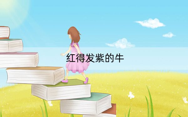 红得发紫的牛