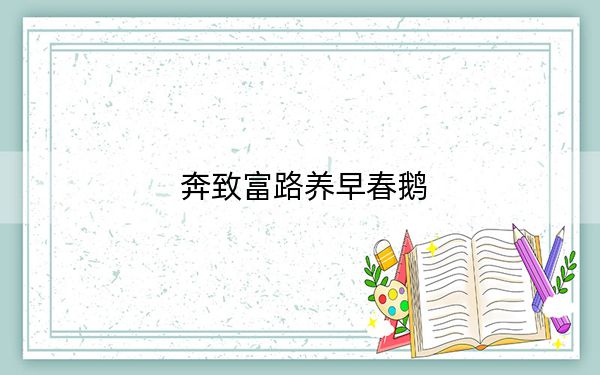 奔致富路养早春鹅