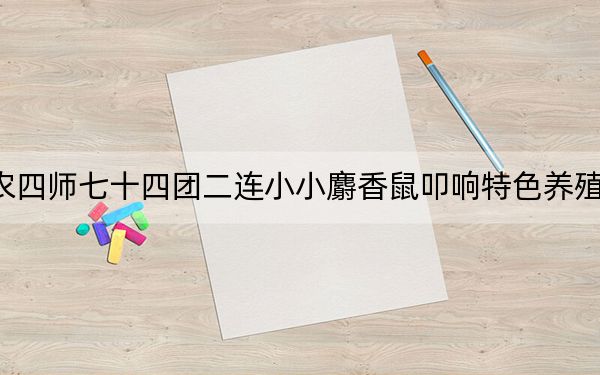 农四师七十四团二连小小麝香鼠叩响特色养殖致