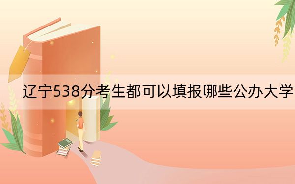 辽宁538分考生都可以填报哪些公办大学?(附带2022-2024年538录取名单)