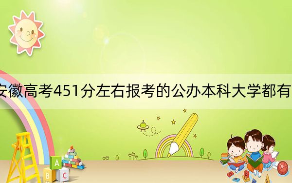 安徽高考451分左右报考的公办本科大学都有哪些？ 2025年高考可以填报0所大学