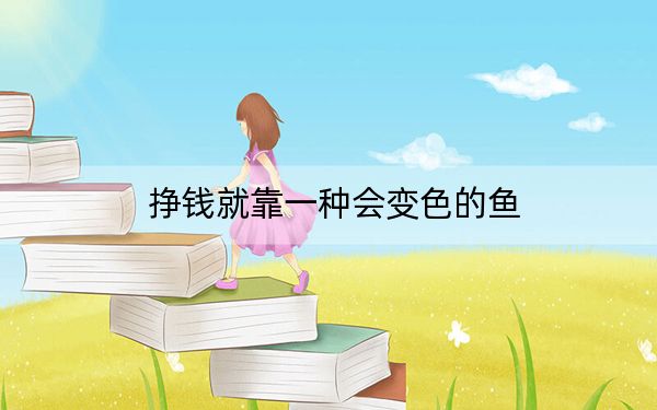 挣钱就靠一种会变色的鱼