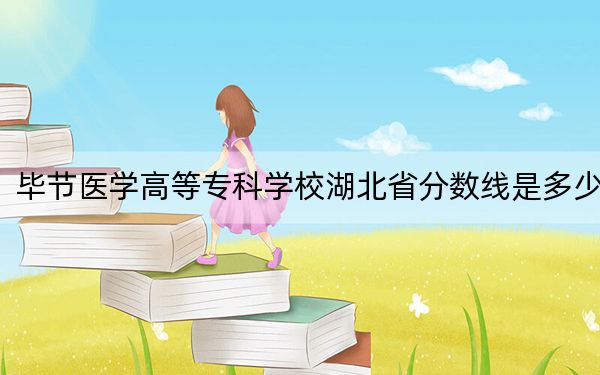 毕节医学高等专科学校湖北省分数线是多少？2025年湖北考生参考