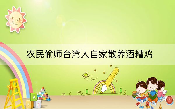 农民偷师台湾人自家散养酒糟鸡