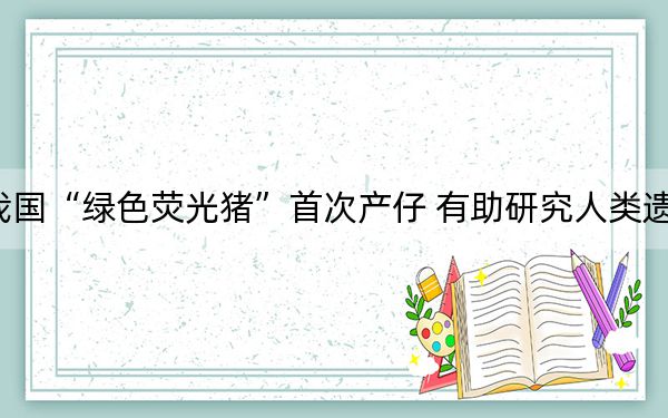 我国“绿色荧光猪”首次产仔 有助研究人类遗传