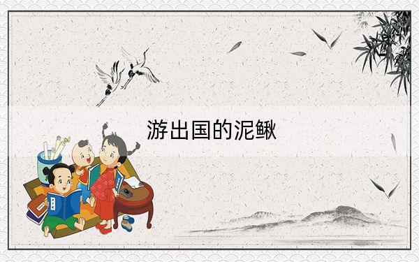 游出国的泥鳅