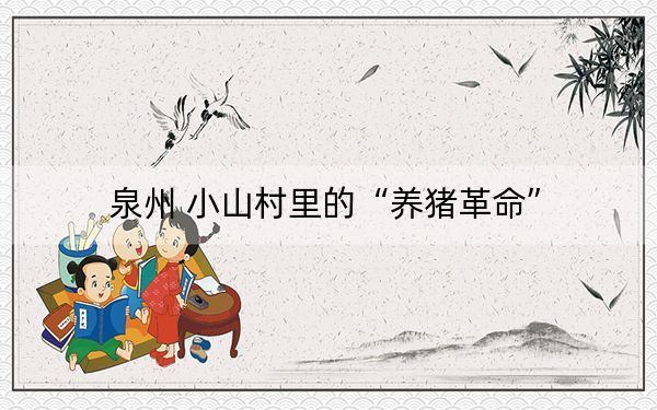 泉州 小山村里的“养猪革命”