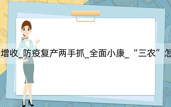 农民增收_防疫复产两手抓_全面小康_“三农”怎么干②