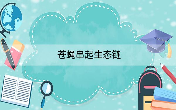 苍蝇串起生态链