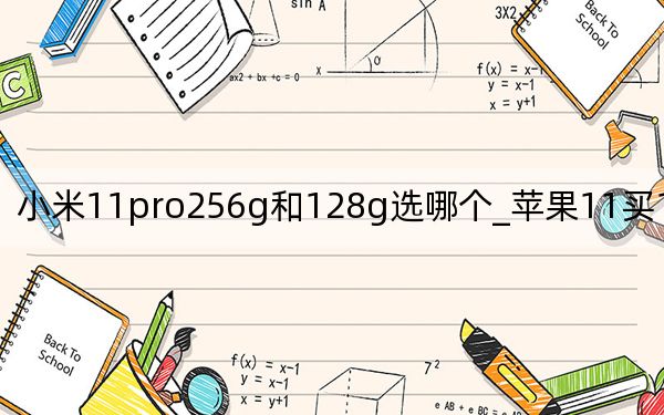 小米11pro256g和128g选哪个_苹果11买128g还是256g