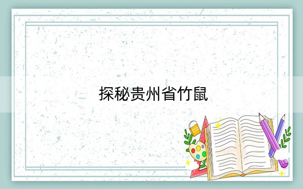 探秘贵州省竹鼠