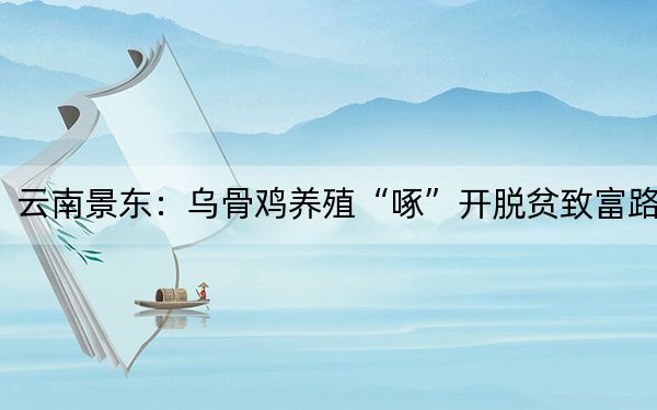 云南景东:乌骨鸡养殖“啄”开脱贫致富路