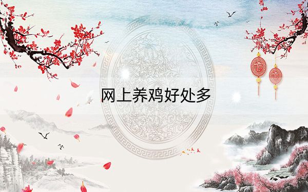 网上养鸡好处多