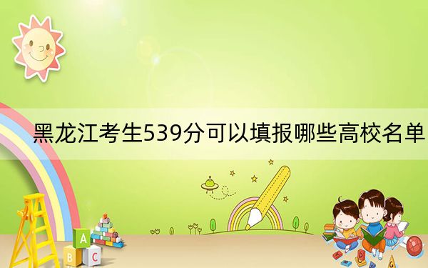 黑龙江考生539分可以填报哪些高校名单？（附带2022-2024年539录取名单）