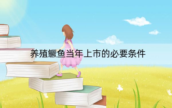 养殖鳜鱼当年上市的必要条件