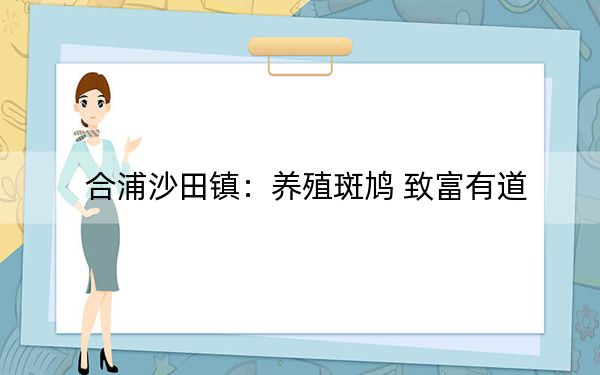 合浦沙田镇：养殖斑鸠 致富有道