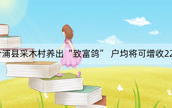合浦县采木村养出“致富鸽” 户均将可增收2222元