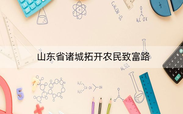 山东省诸城拓开农民致富路