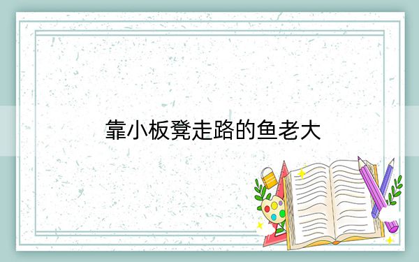 靠小板凳走路的鱼老大