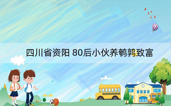 四川省资阳 80后小伙养鹌鹑致富