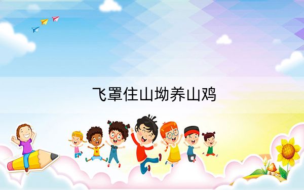 飞罩住山坳养山鸡